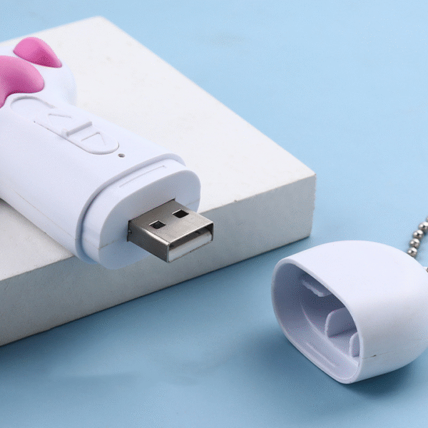 LED Cat Laser Pointer Toy